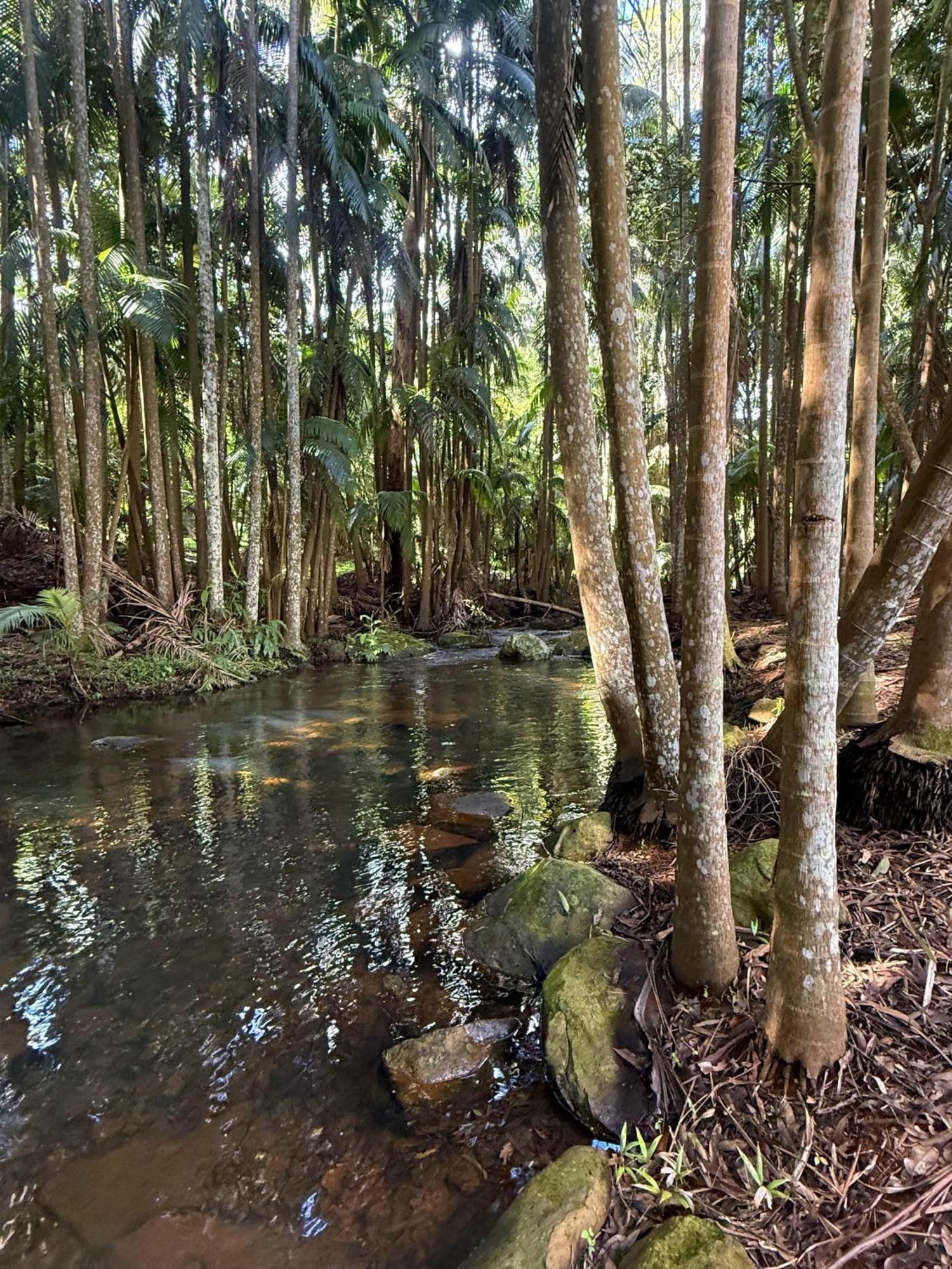 Отель Mt Tamborine Stonehaven Manor Голд-Кост Экстерьер фото