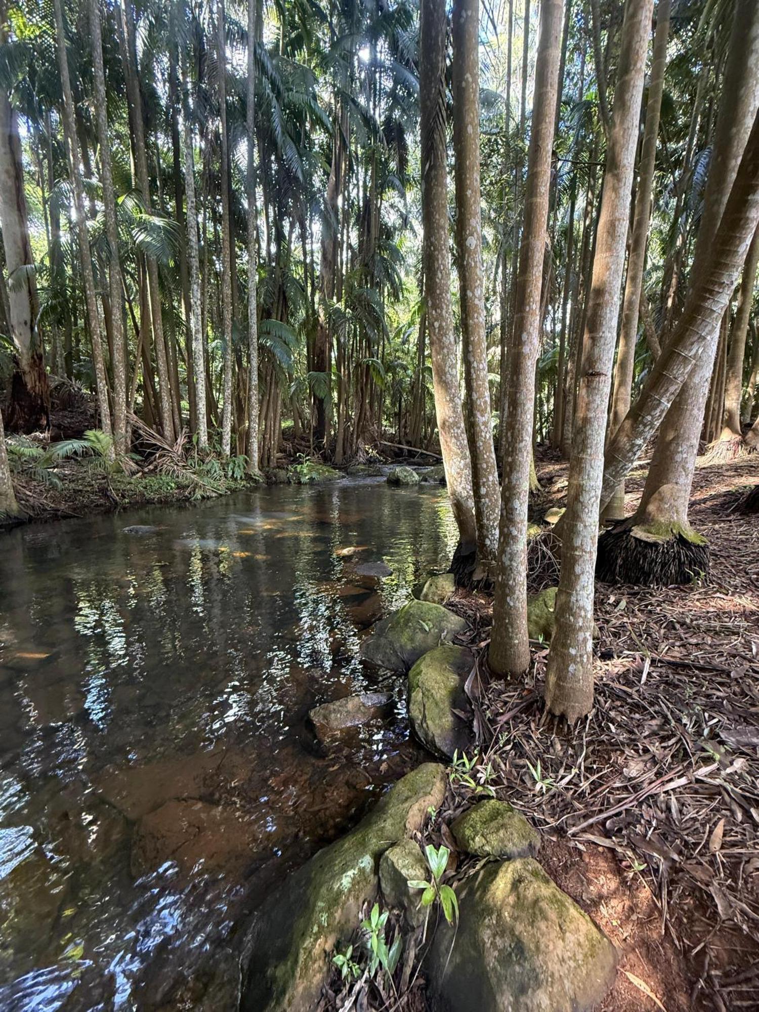 Отель Mt Tamborine Stonehaven Manor Голд-Кост Экстерьер фото