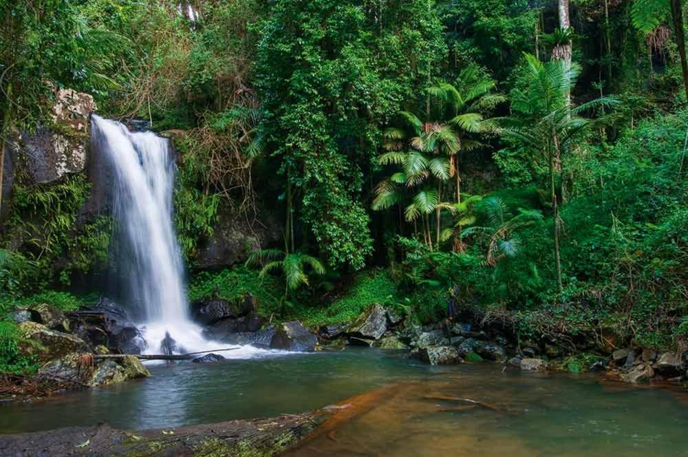 Отель Mt Tamborine Stonehaven Manor Голд-Кост Экстерьер фото